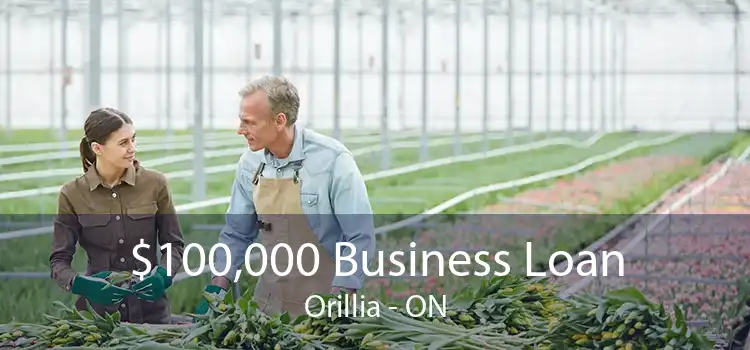 $100,000 Business Loan Orillia - ON