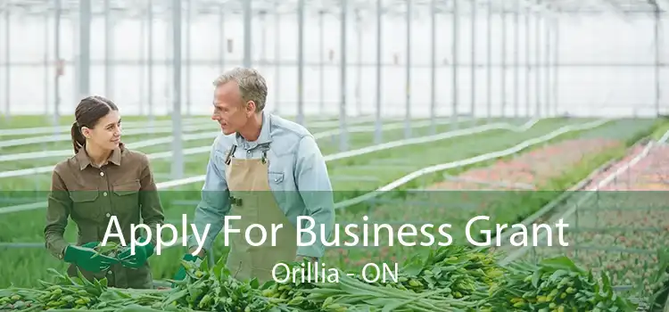 Apply For Business Grant Orillia - ON